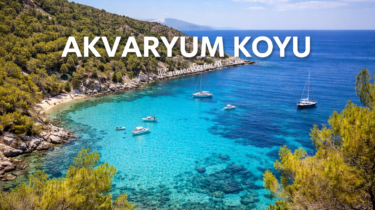 Akvaryum Koyu | Muğla ’nın En Güzel Koyları