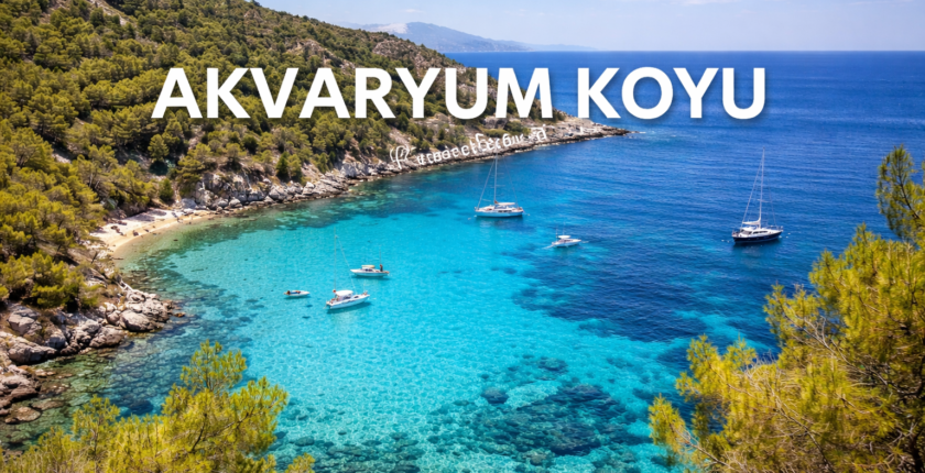 Akvaryum Koyu | Muğla ’nın En Güzel Koyları