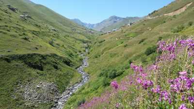 anzer-yaylasi Görmeye Değer 13 Karadeniz Yayla