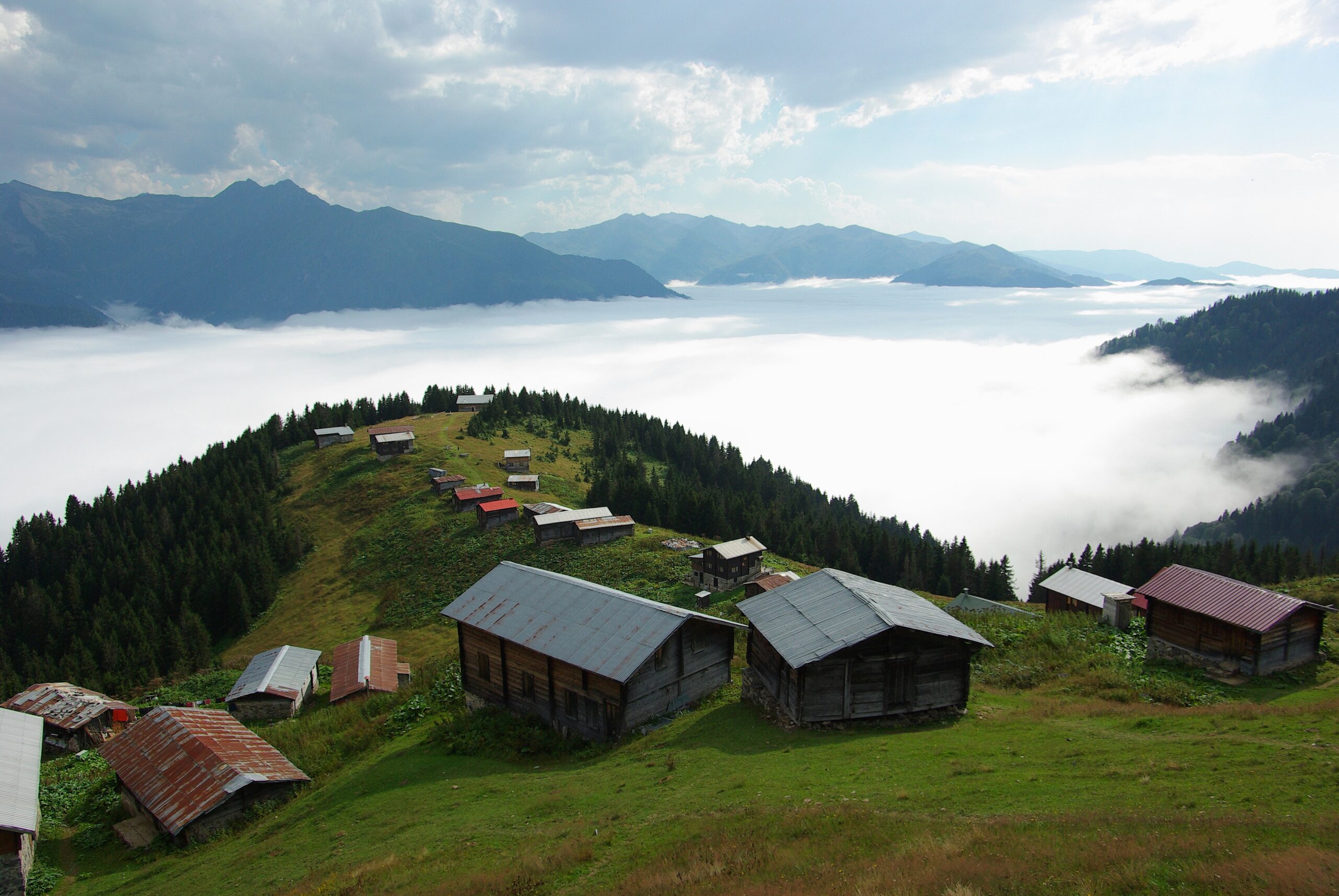 pokut-yaylasi-scaled Görmeye Değer 13 Karadeniz Yayla